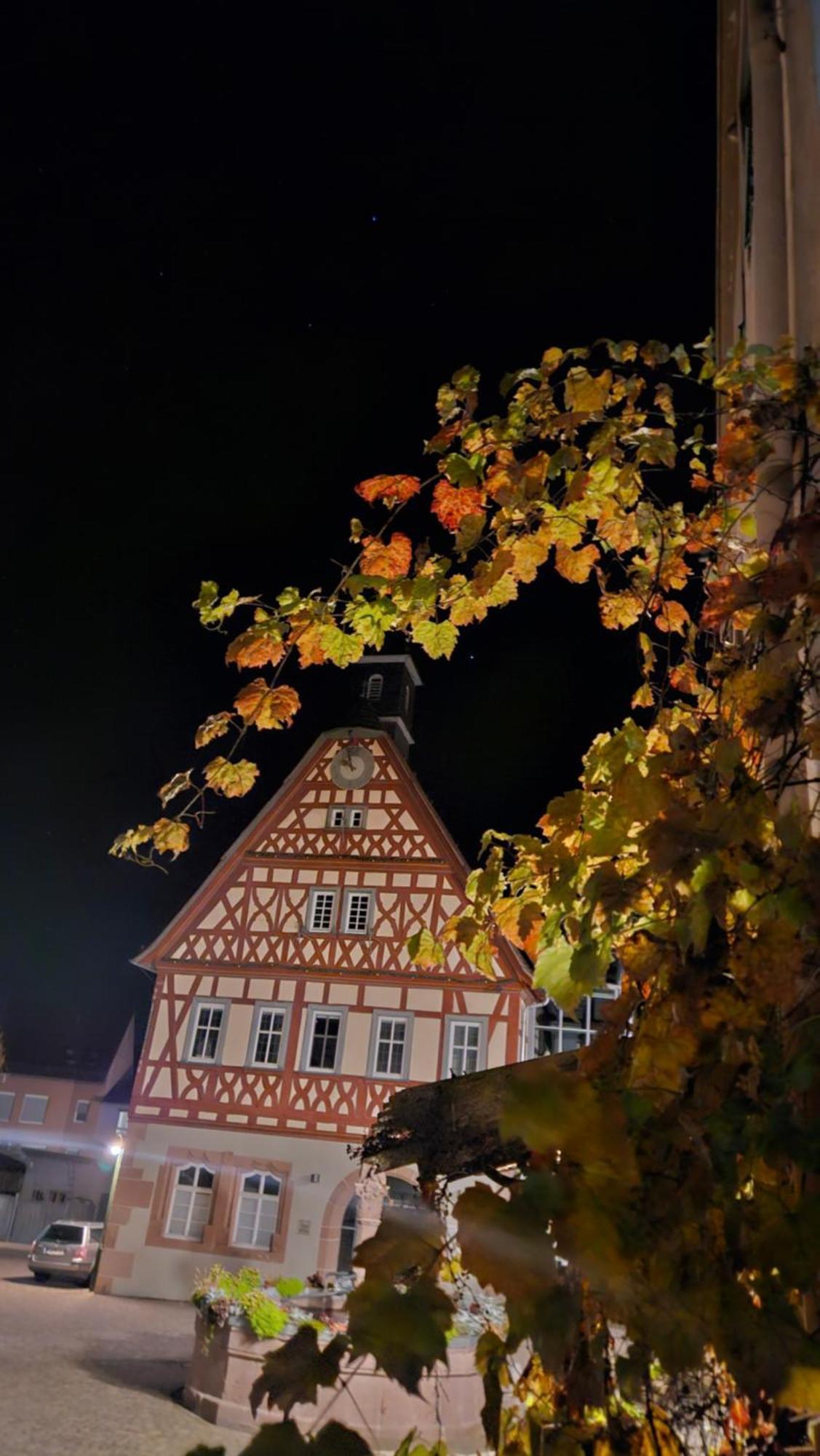 Brunnenputzer Pension Restaurant Kulsheim Exterior photo